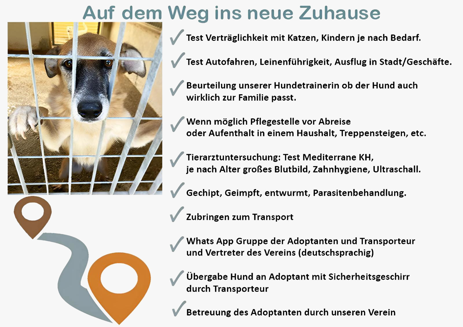 Auf dem Weg ins neue Zuhause